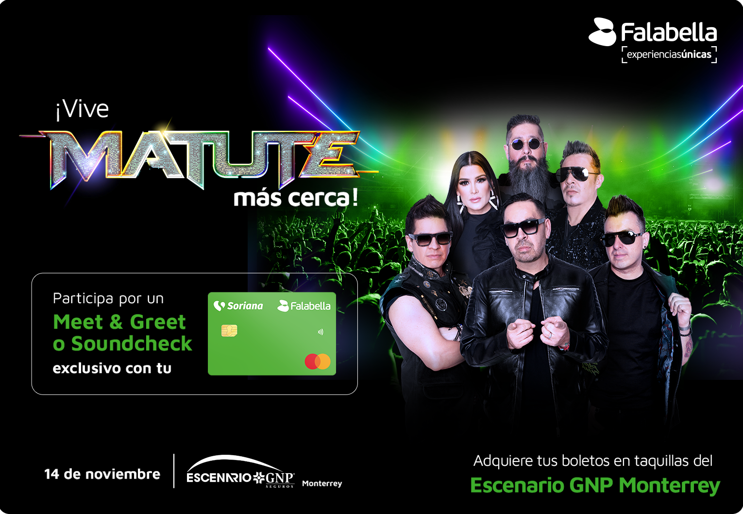 Vive MATUTE